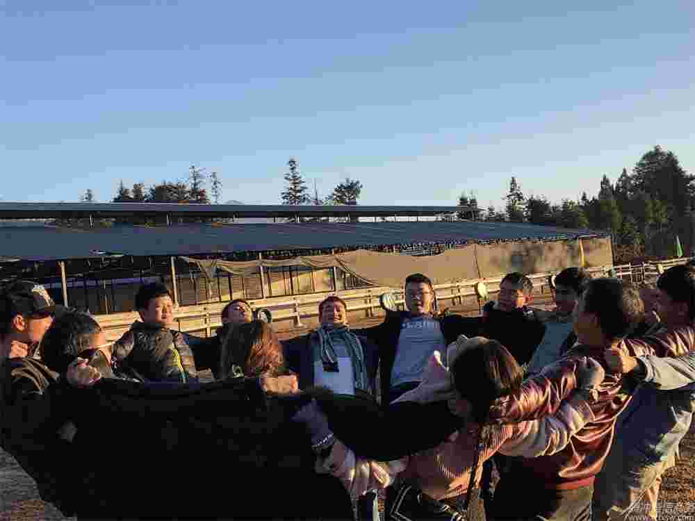 團隊建設、熔煉凝聚力